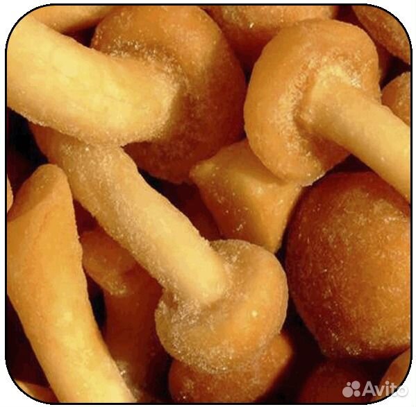 Замороженные грибы в пакетах. Ледяные волосы гриб. Гриб который замораживает. Гриб который замораживает. Замороженные грибы.