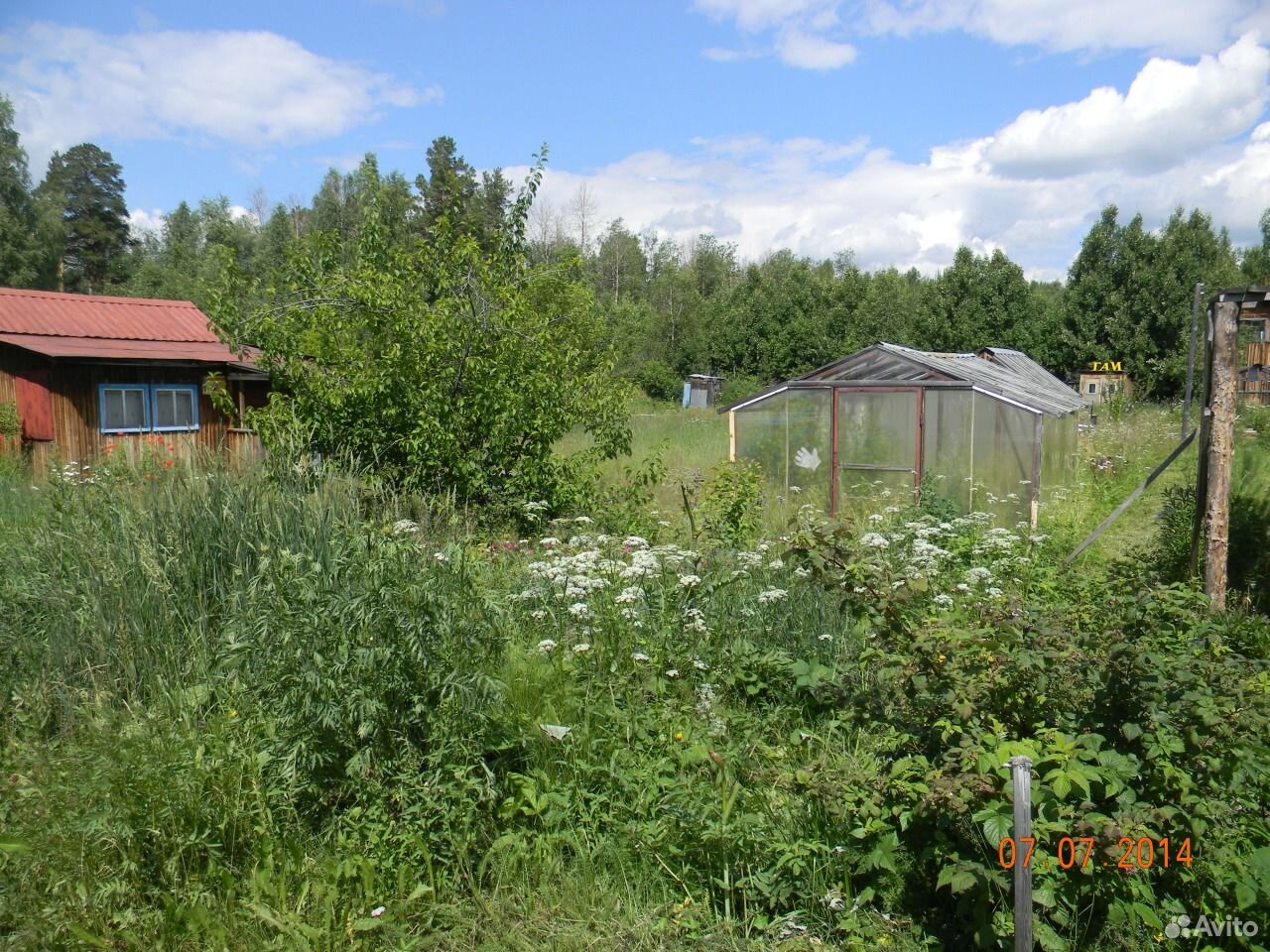 дачи прогресс. авито первоуральск дач. сад прогресс. снт прогресс барнаул. продам сад.