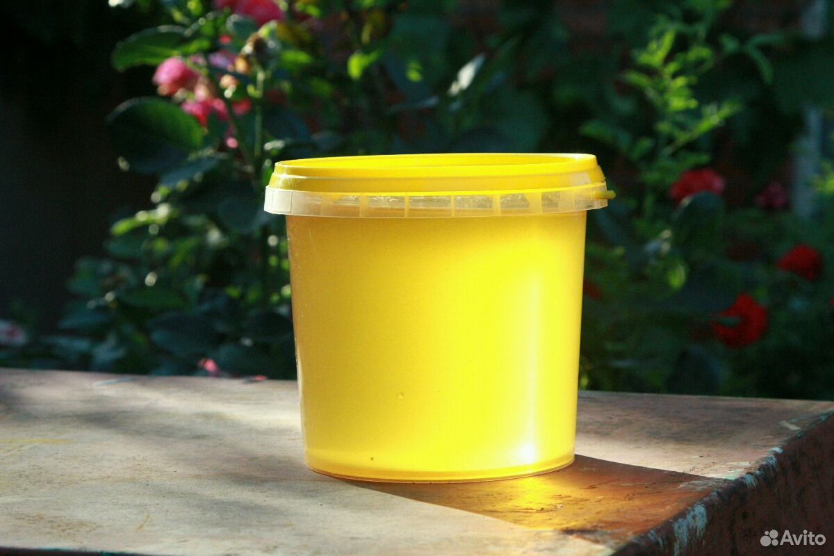Мёд от пасечника купить на Зозу.ру - фотография № 3