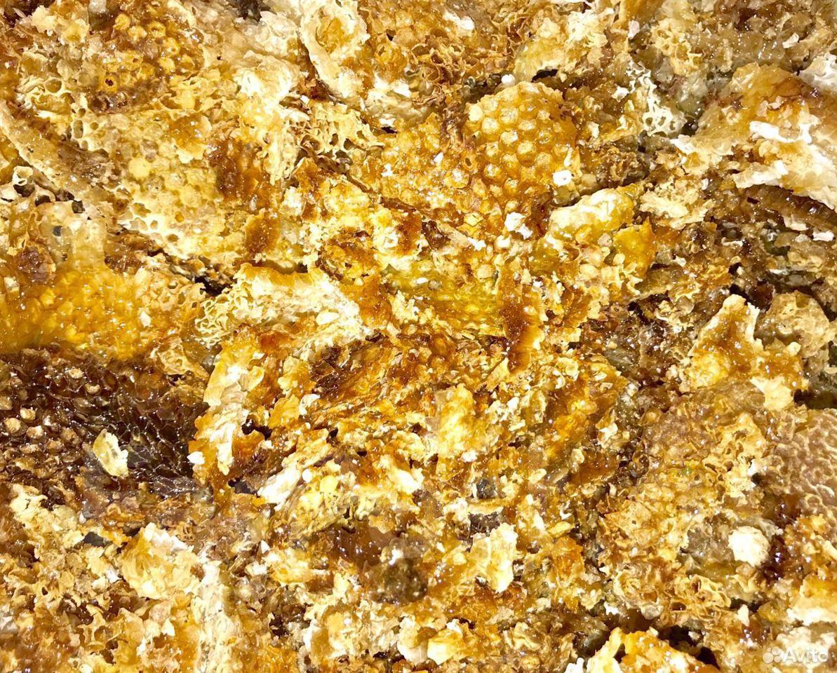 Продам настоящий вкусный мед в Тосно купить на Зозу.ру - фотография № 5