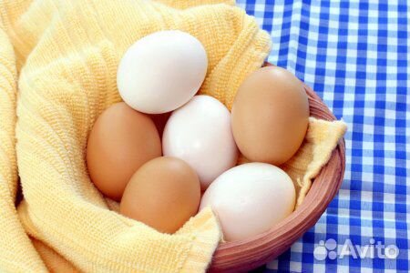 Яйцо куриное (домашнее) купить на Зозу.ру - фотография № 1
