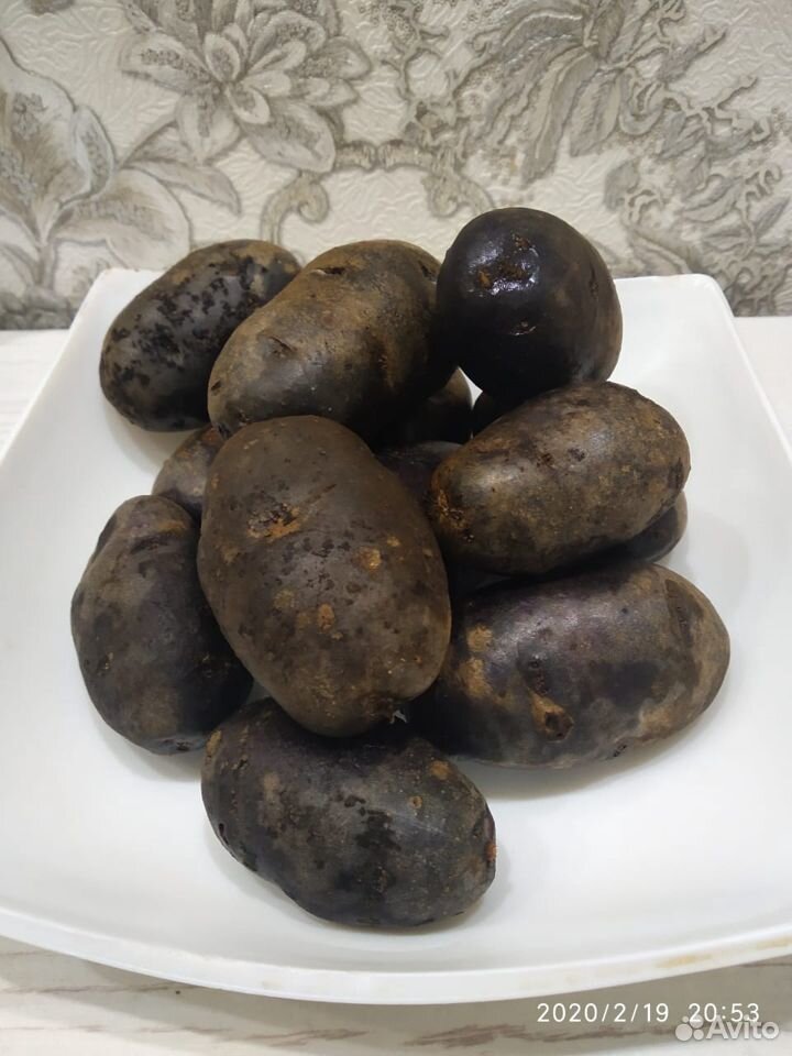 Синий картофель купить на Зозу.ру - фотография № 4