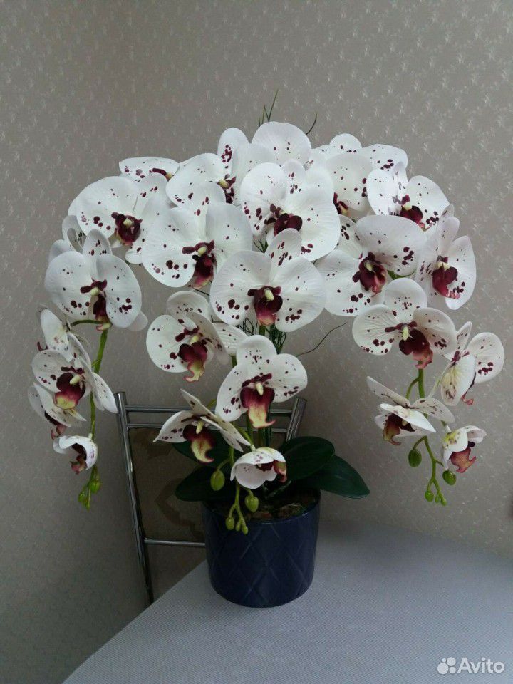 Имитация Орхидеи, латекс, эко-силикон купить на Зозу.ру - фотография № 1