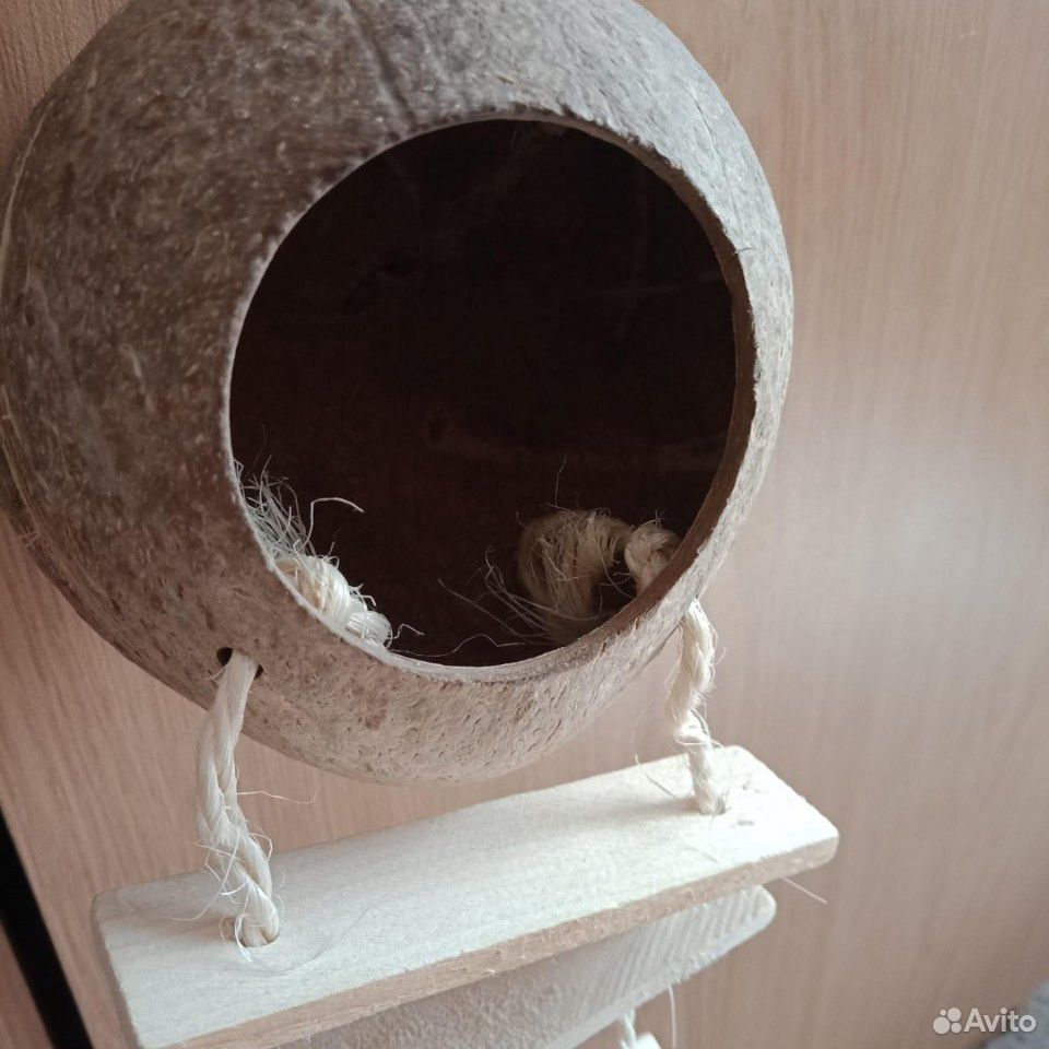 Гнездо из кокоса купить на Зозу.ру - фотография № 1