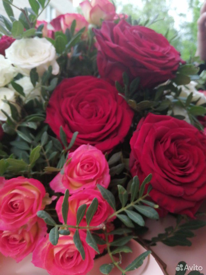 Роза купить на Зозу.ру - фотография № 2