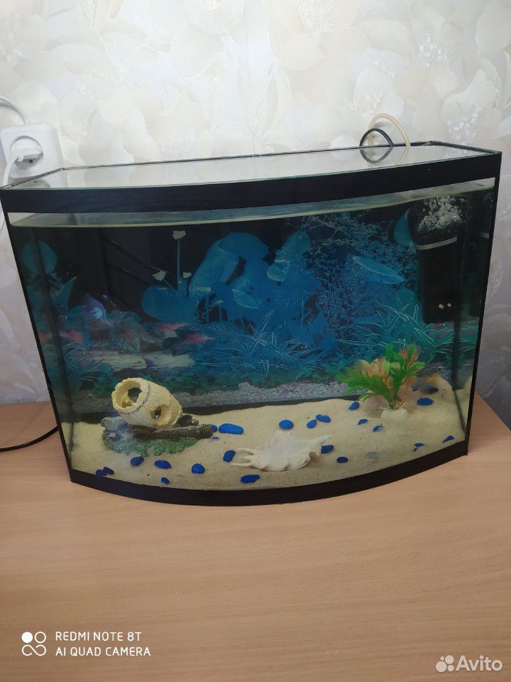 Панорамный аквариум 30 л купить на Зозу.ру - фотография № 1