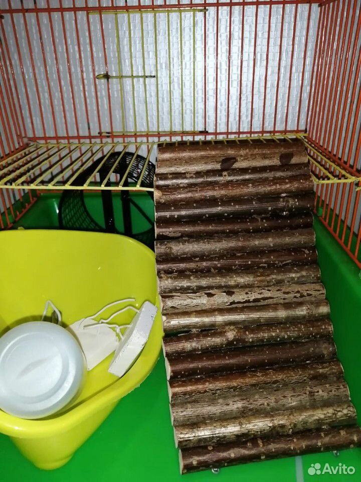 Клетка для мелких грызунов купить на Зозу.ру - фотография № 3