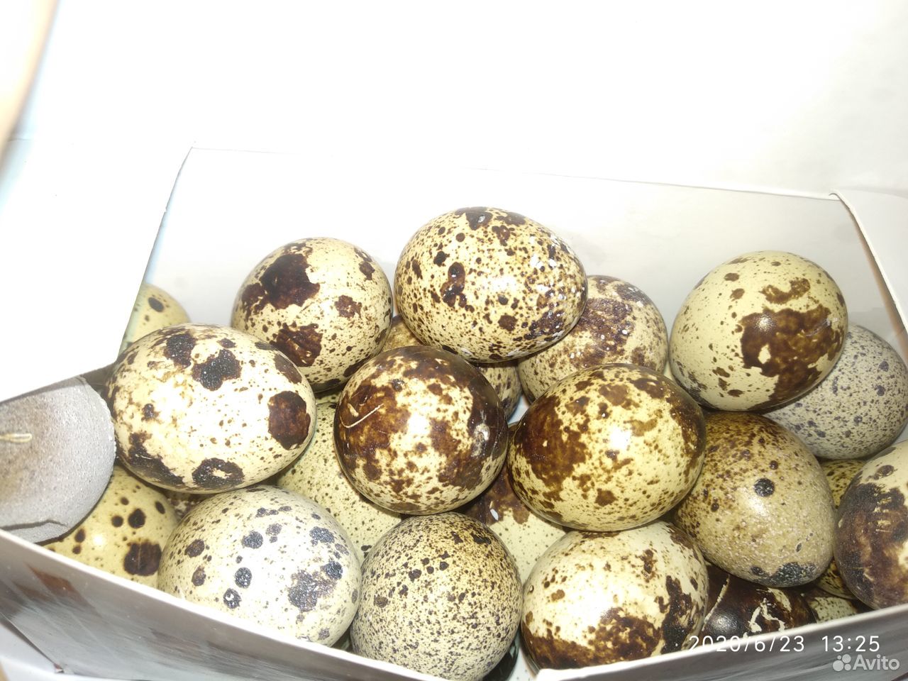 Яйца перепелиные 20 штук купить на Зозу.ру - фотография № 1