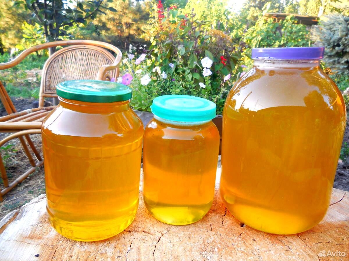 Мед купить в нижнем. Мед разнотравье горный 3л. Мед Башкирское разнотравье. Мед 3 литра разнотравье. Цветочный мед, мед разнотравие.