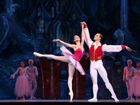 Билеты на балет объявление продам