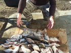 Рыбалка в Астрахани объявление продам