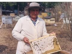 Продажа пчелопакетов. Среднерусские пчелы