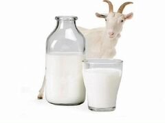Продается домашнее козье молоко