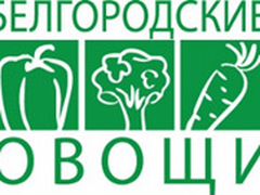 Ооо белгородском. Завод овощей Белгород. Белгородские овощи логотип. Белгородские компании по производству овощей эмблемы. Работа в Белгороде на овощи.