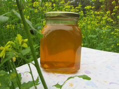 Мёд цветочный Натуральный Антиаллергенный Элита