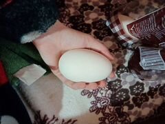 Яйца инкубационное