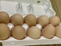 Яйцо инкубационное- Орпингтон палевый