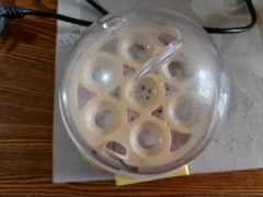 Инкубатор для перепелиных яиц