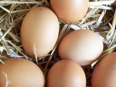 Яйца домашние возможно с доставкой