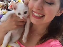 Милые котята- лучшие собеседники)