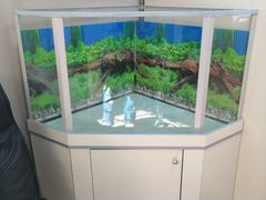 Оборудование для аквариума