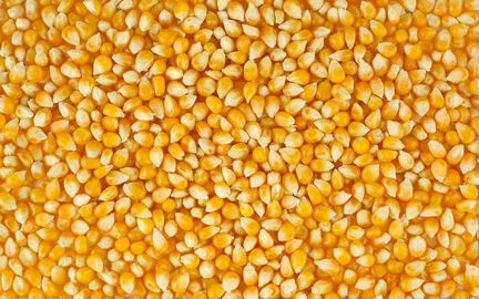 Кукуруза, Решето на зарнодробилку