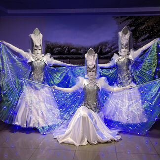 Шоу-балет «Венеция» Танцевальная шоу программа