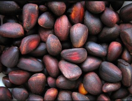 Продам крупный кедровый орех, урожай 2019