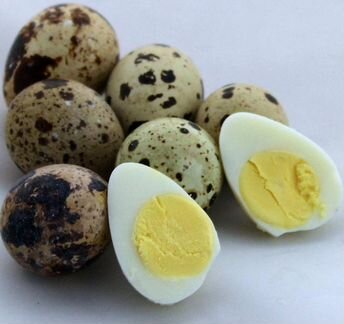 Яйца перепилиные