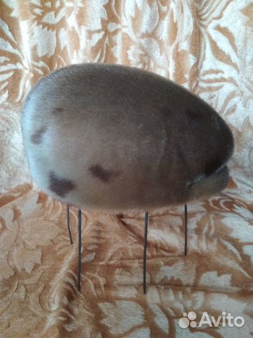 Шапка зимняя из нерпы