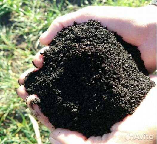 Торф, чернозем,навоз,плодородный грунт