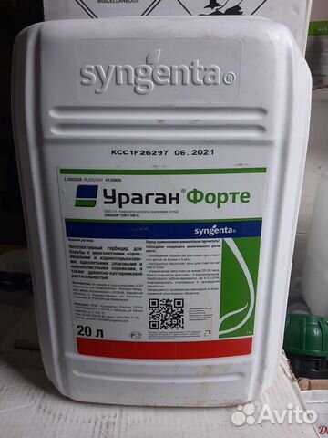 Ураган Форте