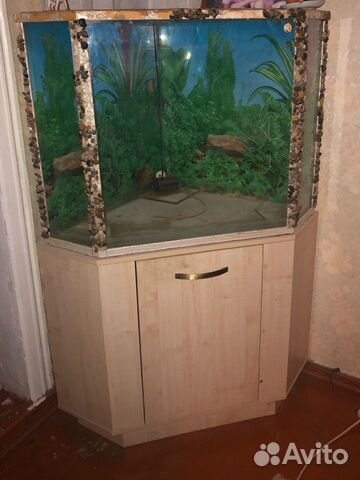Аквариум 250 литров с тумбой