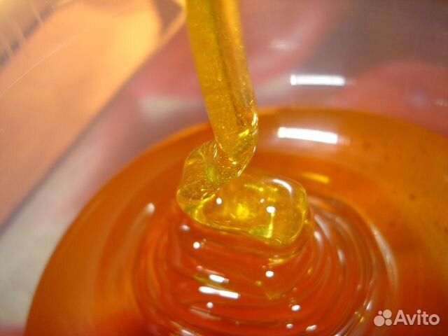 Мёд цветочный 2023 год