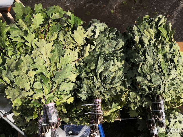 Веники для бани дубовые, липовые, берёзовые