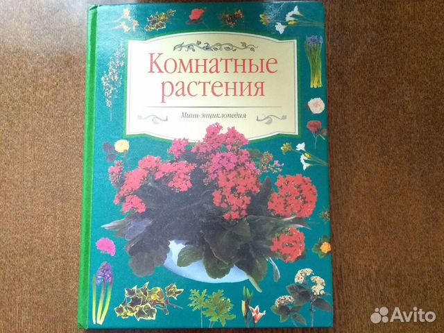 Кулинария, вышивка, цветы