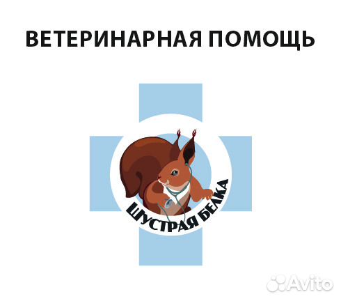 Ветеринарный врач
