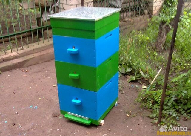 Пасека начинающему пчеловоду купить на Зозу.ру - фотография № 1