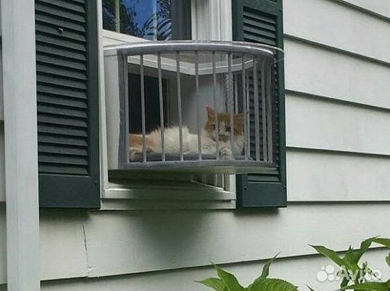 Выгул для кошек на окно фото
