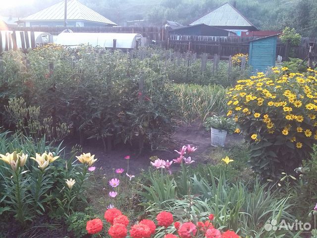 Дом 50 м² на участке 8 сот.