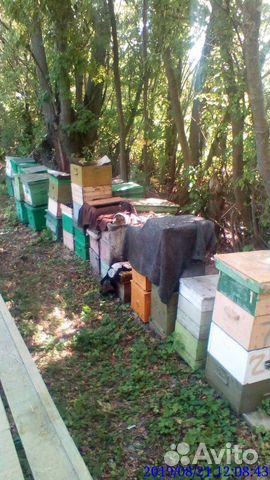Телега для пчел купить на Зозу.ру - фотография № 4