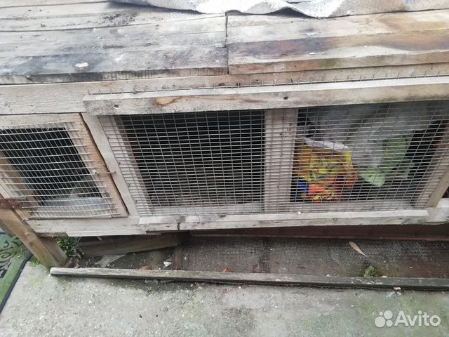 Клетка для кроликов купить на Зозу.ру - фотография № 1