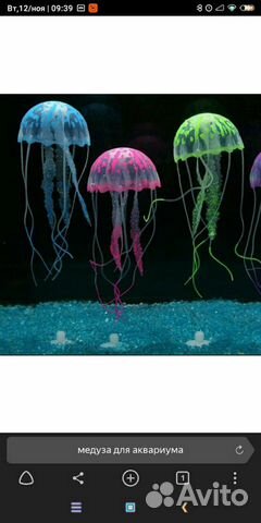 Медуза в аквариум купить на Зозу.ру - фотография № 1
