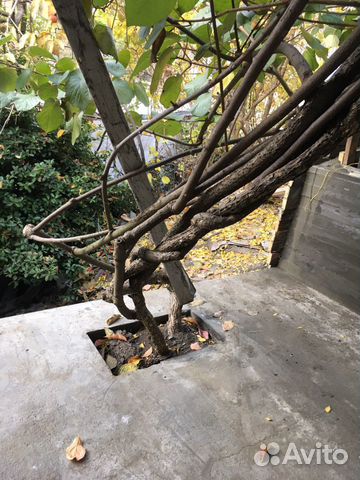 Дом 45 м² на участке 3 сот. Дом 45 м² на участке 3 сот.