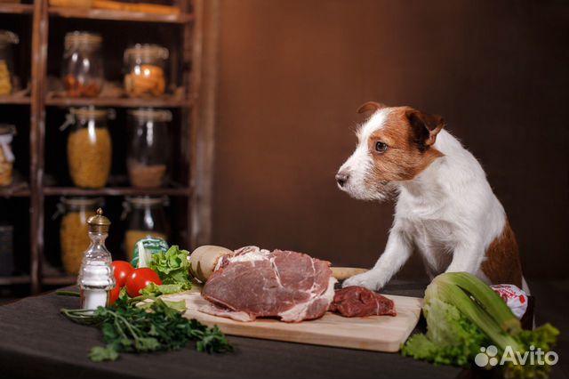 Натуральное питание-здоровье вашей собаки купить на Зозу.ру - фотография № 3