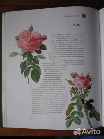 Книга Цветы мира Книга Цветы мира