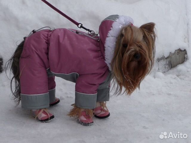 Комбинезоны для не больших собак Комбинезоны для не больших собак