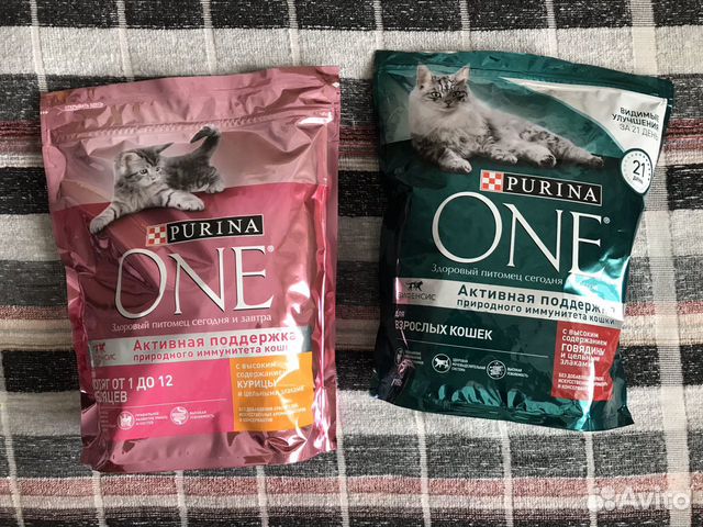 Чем заменить корм для кошек. Purina one для юниоров средних пород. Упаковка комбикорма Purina. Корм Пурина для с/х животных. Корм для кошек каждый день.