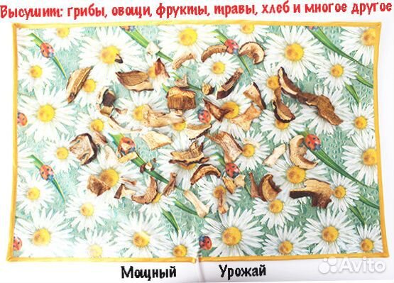 Сушилка для овощей и фруктов Мощный Урожай, 33х55 Сушилка для овощей и фруктов Мощный Урожай, 33х55