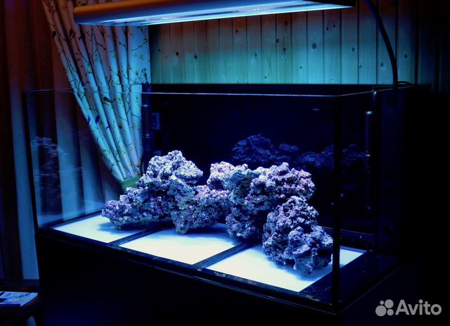 Морской аквариум Elos с оборудованием купить на Зозу.ру - фотография № 2